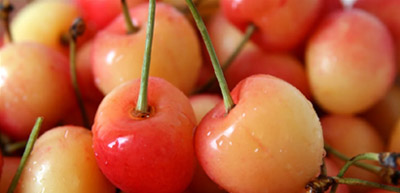 about-cherry-variety-earlyrobin